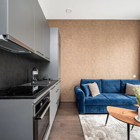 Old Town Renessainse 4 公寓 *