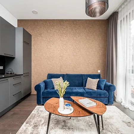 Old Town Renessainse 4 公寓 维尔纽斯