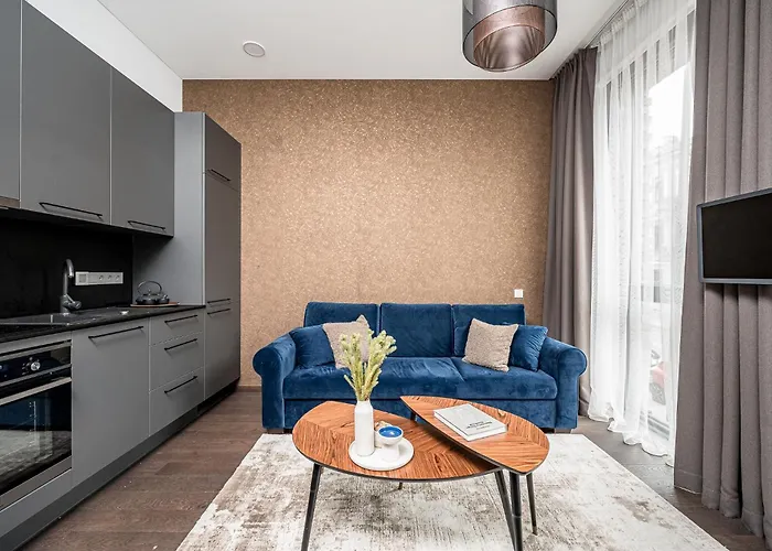 Old Town Renessainse 4 Apartment Vilnius