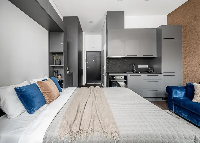 Old Town Renessainse 4 아파트 빌뉴스